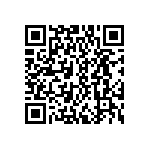 DWM-02-55-G-D-293 QRCode