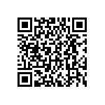 DWM-04-01-G-D-250 QRCode
