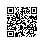 DWM-04-01-G-S-280 QRCode