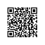 DWM-04-51-T-S-250 QRCode