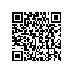 DWM-04-52-T-S-300 QRCode