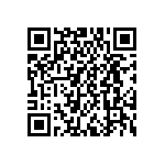 DWM-04-54-G-S-256 QRCode