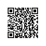 DWM-05-53-S-S-311 QRCode