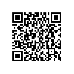 DWM-06-55-G-D-295 QRCode