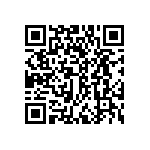 DWM-09-53-G-S-300 QRCode