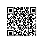 DWM-09-55-G-D-295 QRCode