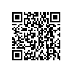 DWM-11-53-G-S-291 QRCode