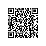 DWM-12-55-G-D-295 QRCode