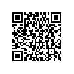 DWM-13-01-T-D-250 QRCode