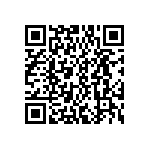 DWM-16-55-S-D-295 QRCode