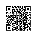 DWM-29-01-T-S-250 QRCode