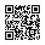 DY110-11 QRCode