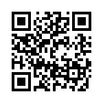 DZT2907A-13 QRCode