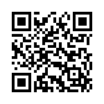 DZT951-13 QRCode