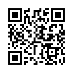 DZT953-13 QRCode