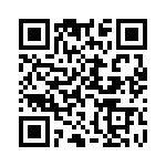 E101J1V4QE2 QRCode