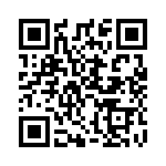 E201SYZBE QRCode
