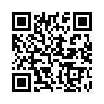 E213MD9V91GE QRCode