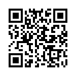 E21911300000G QRCode