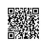 E36D6R3LPN393TA41N QRCode