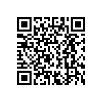 E80D250VNN153AR50T QRCode