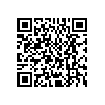 EKMM161VSN821MP45S QRCode