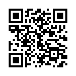 EP4CE6F17C7 QRCode