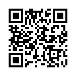 ERG-2SJ333V QRCode