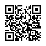 ERJ-6ENF1333V QRCode