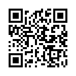 ESQ-119-24-S-T QRCode