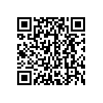 ESQT-113-02-F-S-787 QRCode