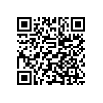 ESQT-125-02-H-Q-309 QRCode