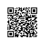 ESQT-133-03-H-Q-309 QRCode