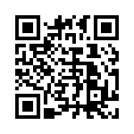 EVQ-WEB00115B QRCode