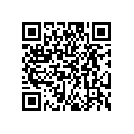 EW-04-09-G-S-300 QRCode