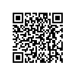 EW-04-09-T-S-300 QRCode