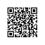 EW-12-09-T-Q-300 QRCode