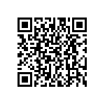 EW-13-09-S-D-300 QRCode