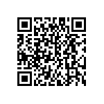 EW-24-13-G-D-787 QRCode