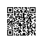 F20B130053600060 QRCode