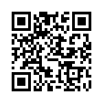 FCE17E09PA29B QRCode