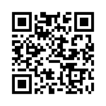 FCE17E09PA64B QRCode