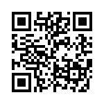 FCE17E09PB65B QRCode