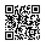 FLZ2V4A QRCode