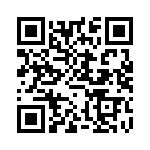 FP100R07N3E4 QRCode