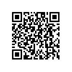 FW-02-01-F-D-304-065 QRCode