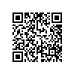 FW-06-04-FM-D-382-275 QRCode