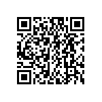 FW-07-04-G-D-313-065 QRCode