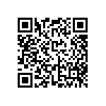 FW-13-04-G-D-300-100 QRCode