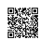 FW-41-02-F-D-425-065 QRCode